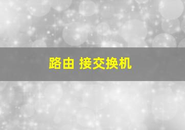 路由 接交换机